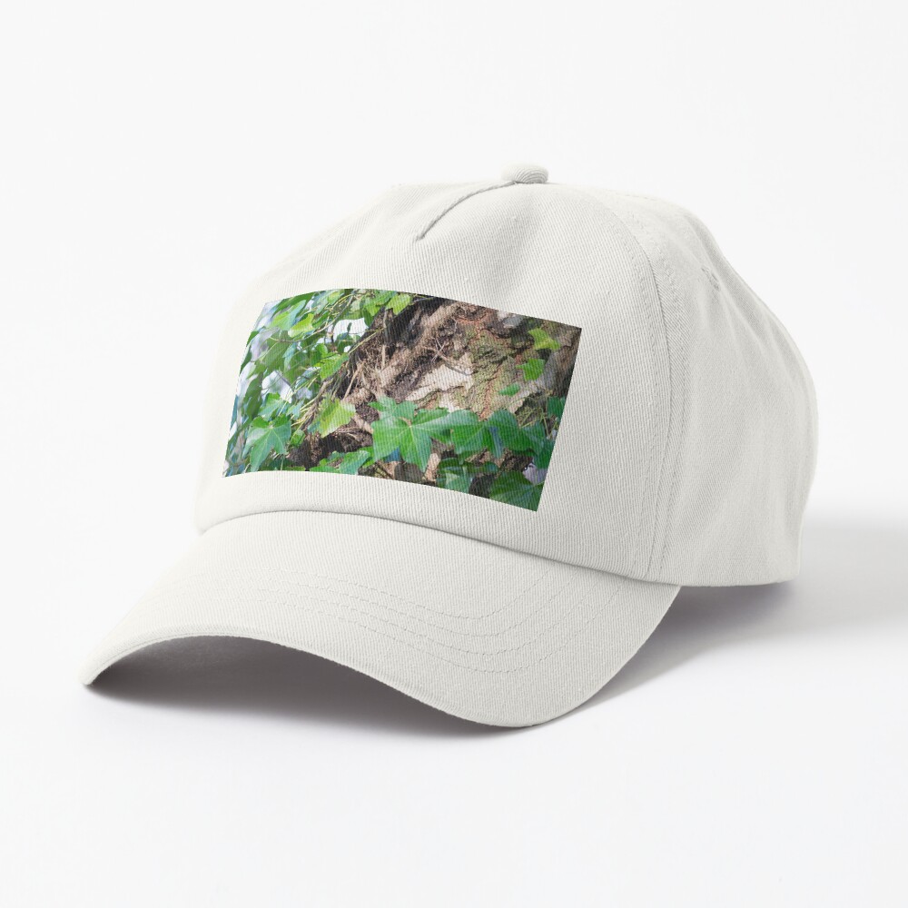 Item preview, Dad Hat designed and sold by SiobhanFraser.
