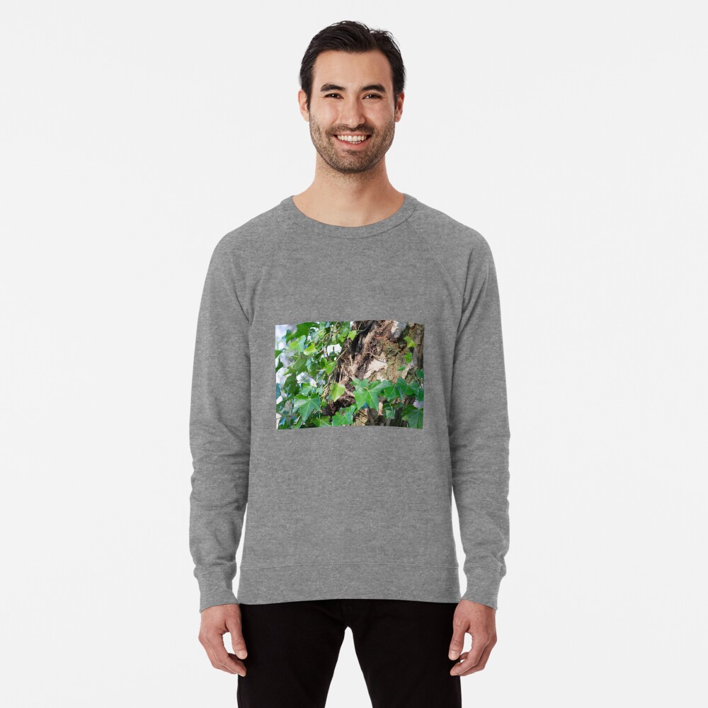 Item preview, Lightweight Sweatshirt designed and sold by SiobhanFraser.