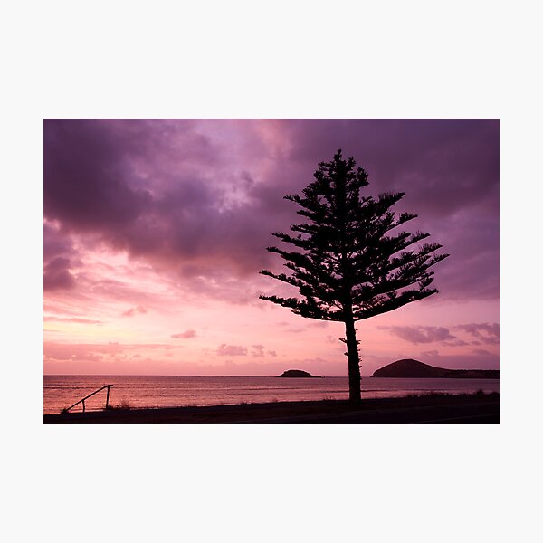 Aperçu de l'œuvre Encounter Bay Sunrise créée et vendue par Robert Sturman.