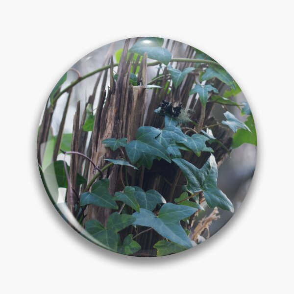 Item preview, Ivy on Splintered Trunk designed and sold by Alternative Perspectives.