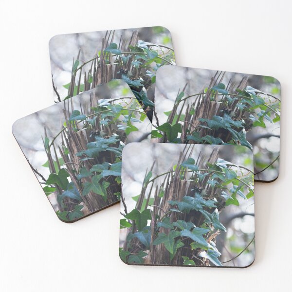 Item preview, Ivy on Splintered Trunk designed and sold by Alternative Perspectives.