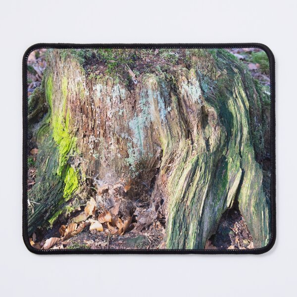 Item preview, Multicoloured Lichen designed and sold by Alternative Perspectives.