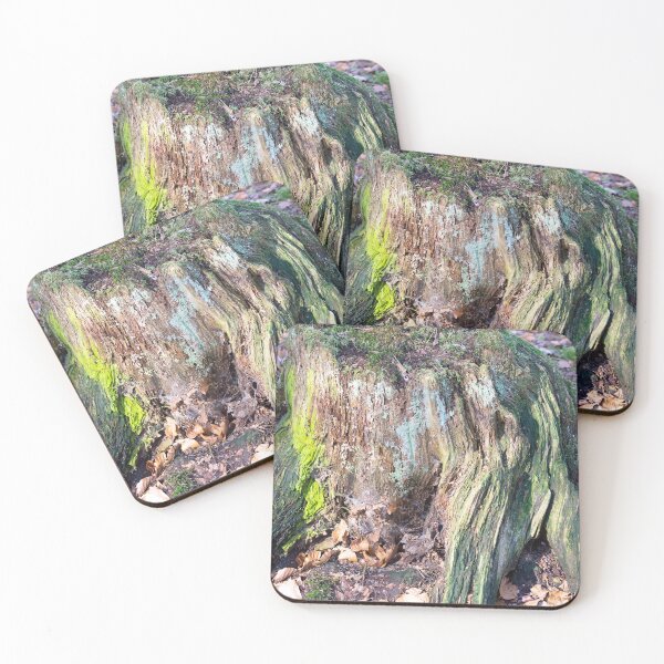 Item preview, Multicoloured Lichen designed and sold by Alternative Perspectives.