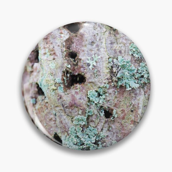 Item preview, Scots Pine with Lichen designed and sold by Alternative Perspectives.