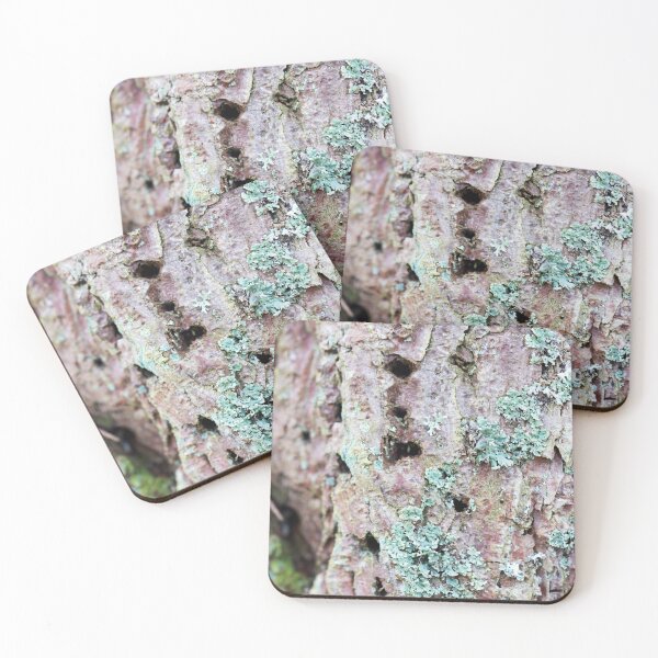 Item preview, Scots Pine with Lichen designed and sold by Alternative Perspectives.