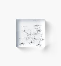 Pyramidal cells on white Acrylic Block