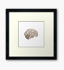 hemisected brain Framed Print