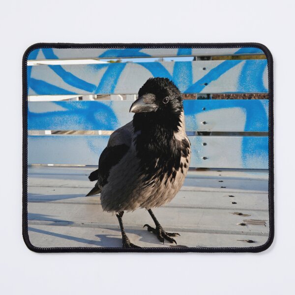 Item preview, Cool Crow designed and sold by Taina Sohlman.