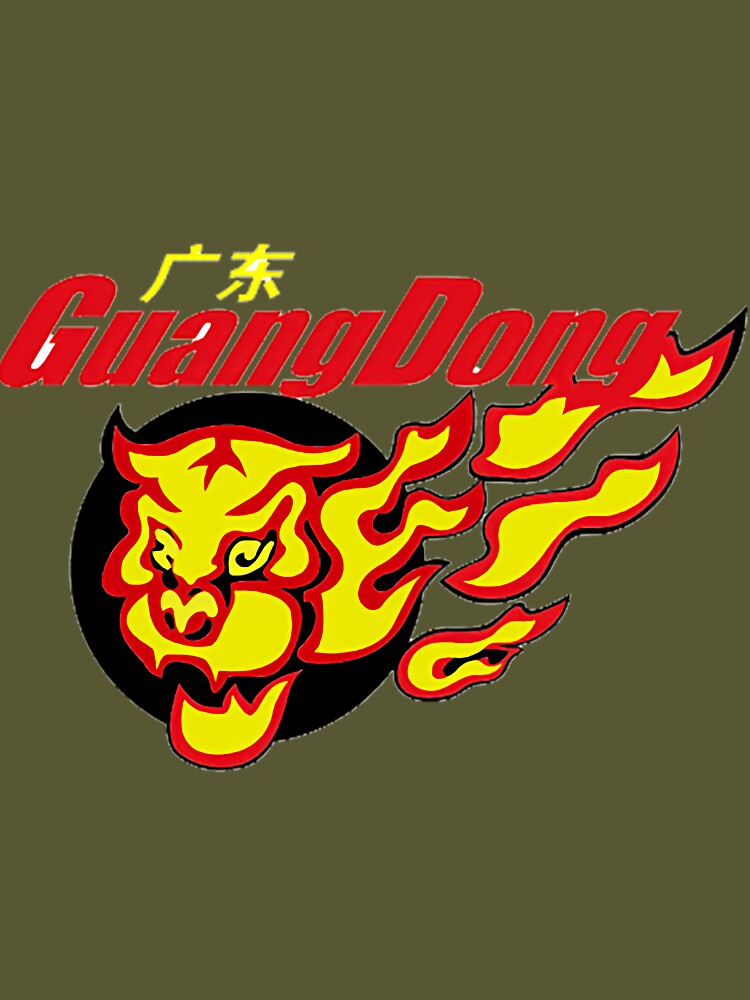 Guangdong Southern Tigers - Wikipedia