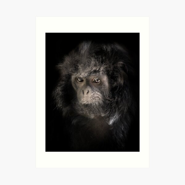 Ebony Art Print
