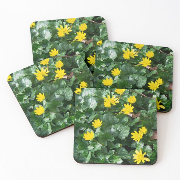 Item preview, Lesser Celandine designed and sold by Alternative Perspectives.