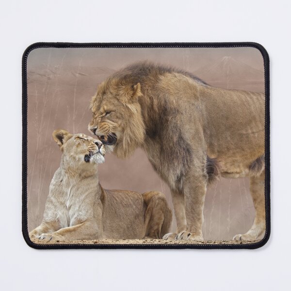 Item preview, Lions in Love designed and sold by Krys Bailey.