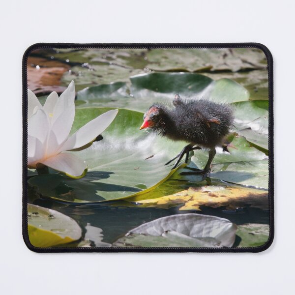Item preview, Tales from the Lily Pond designed and sold by Krys Bailey.