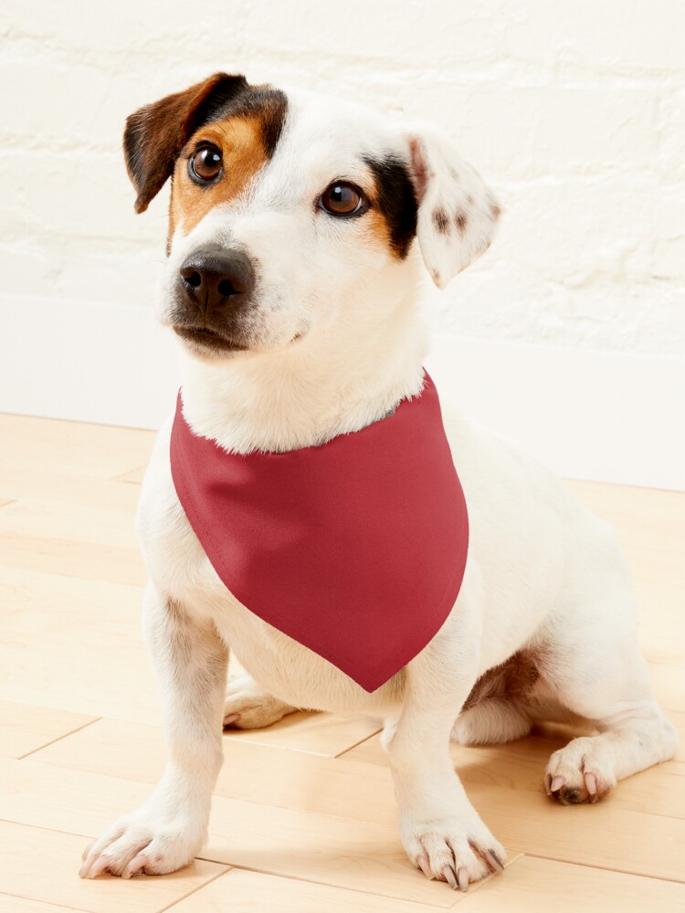 St. Louis Cardinal Baseball Dog Bandana