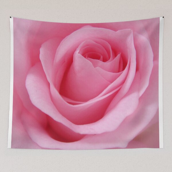 Artikelvorschau, Pinke Rose entworfen und verkauft von robspencer.