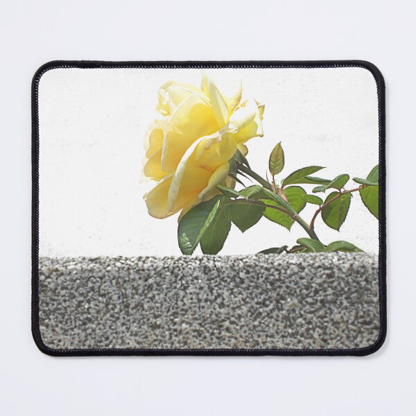 Item preview, Hard and soft. designed and sold by Paul Pasco.
