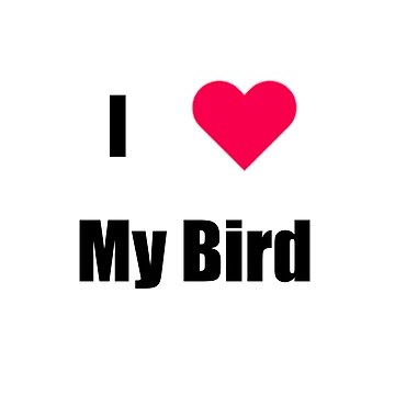 Artwork thumbnail, Birds by RaspberryPunch