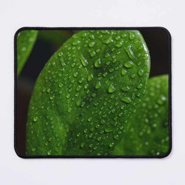 Item preview, Z Plant Leaf Green Leaf Water Drop designed and sold by ezgi-yc.