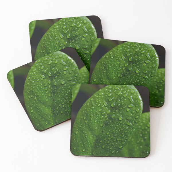Item preview, Z Plant Leaf Green Leaf Water Drop designed and sold by ezgi-yc.