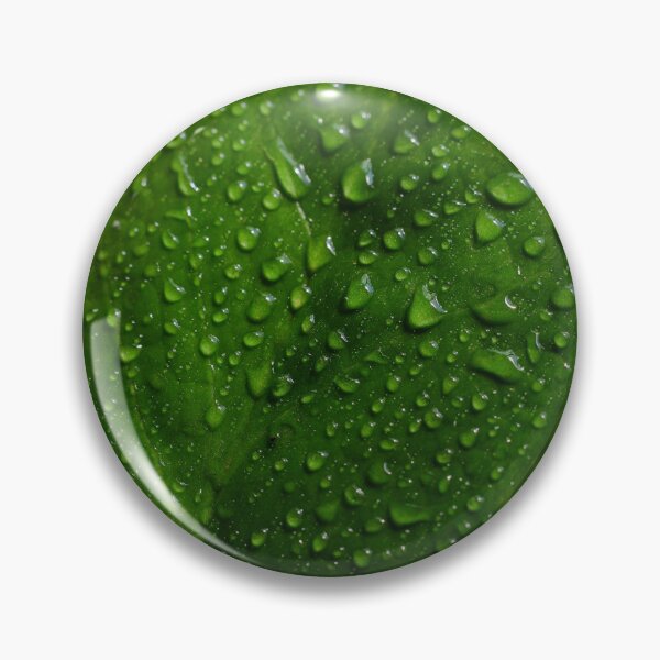 Item preview, Z Plant Leaf Green Leaf Water Drop designed and sold by ezgi-yc.
