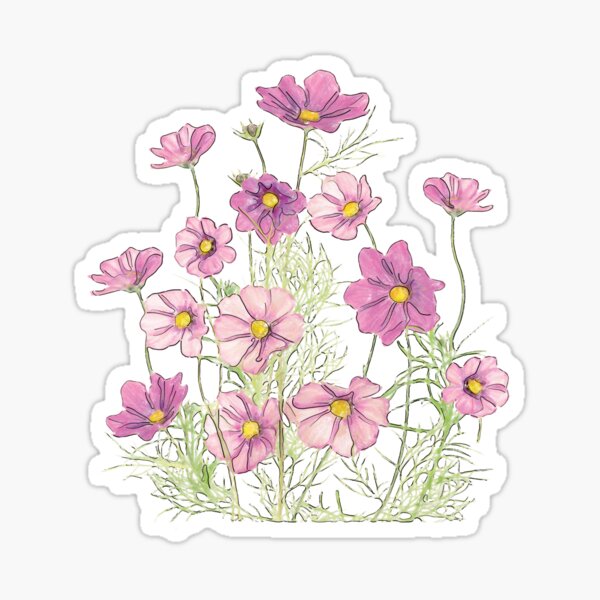 Cosmos Flower Sticker