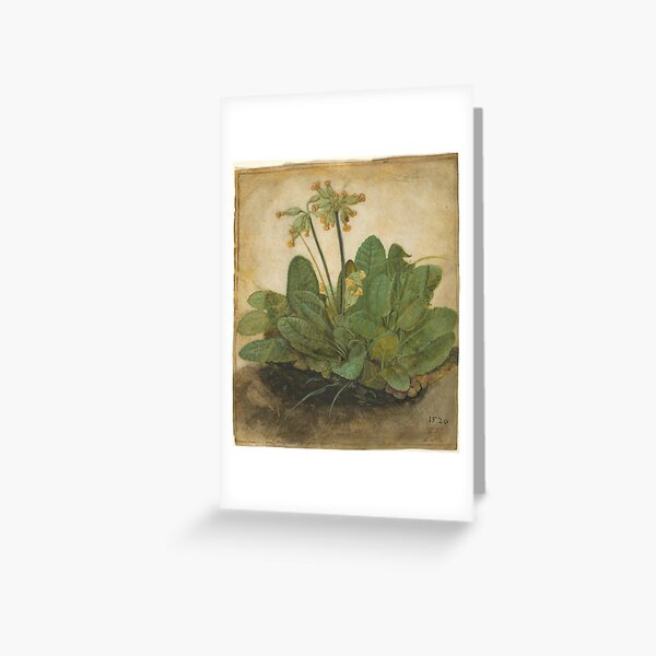 Item preview, Tuft of Cowslips, 1526 by Albrecht Durer designed and sold by Vintage Wall Art.