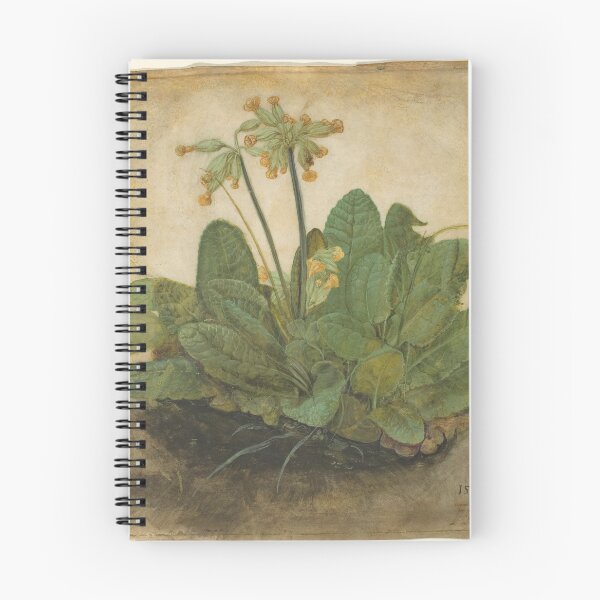 Item preview, Tuft of Cowslips, 1526 by Albrecht Durer designed and sold by Vintage Wall Art.