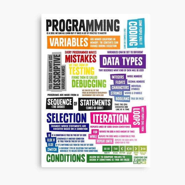 Programming Coding Key Vocabulary Literacy and Definitions Metal Print