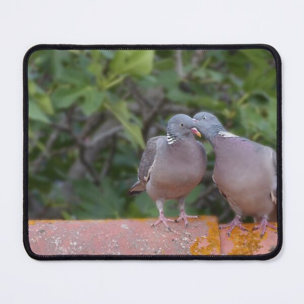 Item preview, Love birds. designed and sold by Paul Pasco.