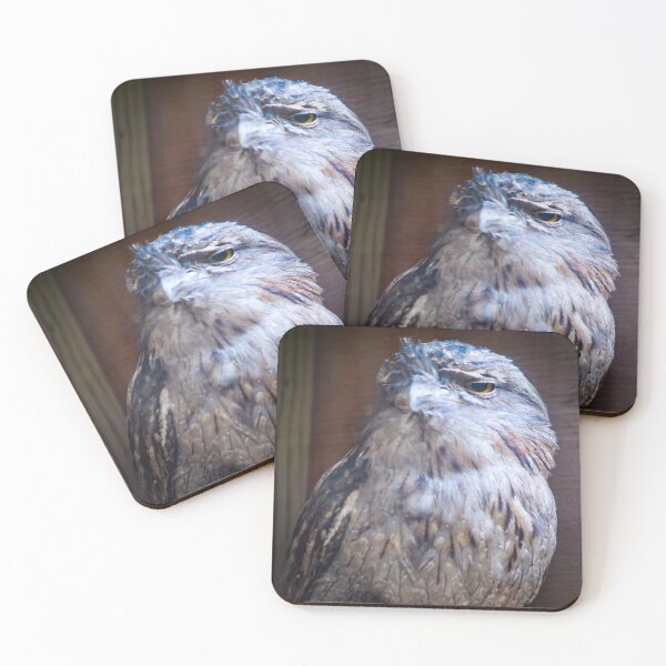 Item preview, Regal Looking Frogmouth designed and sold by Misfit-Photo.