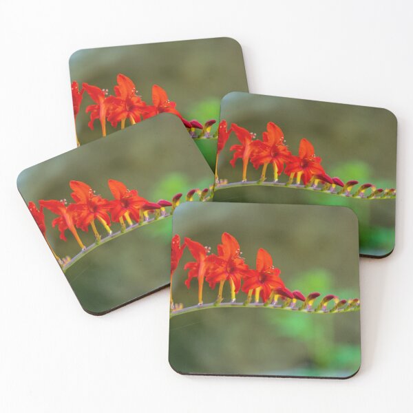 Item preview, Montbretia Flower designed and sold by TinyDinoDesigns.