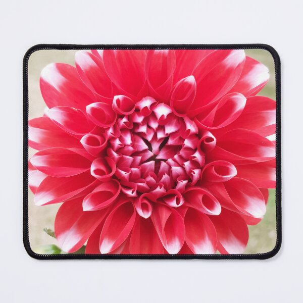 Item preview, Red Flower designed and sold by MossyWings.