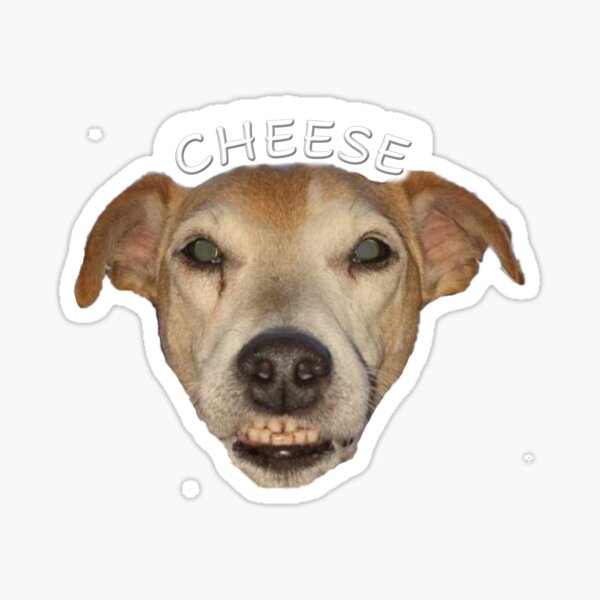 Vista previa del artículo con la obra «cachorro de queso», diseñado y vendido por Animal Friends of Barbour County.