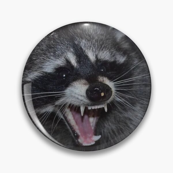 Item preview, uncomfortable raccoon meme designed and sold by MeanBlackCat.