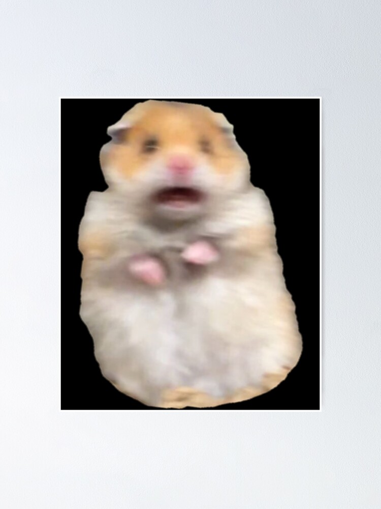 Scared hamster meme: Where did it actually come from and is it real?