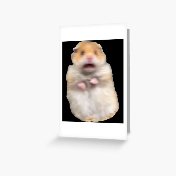 hamster meme Greeting Card for Sale by dtscott19