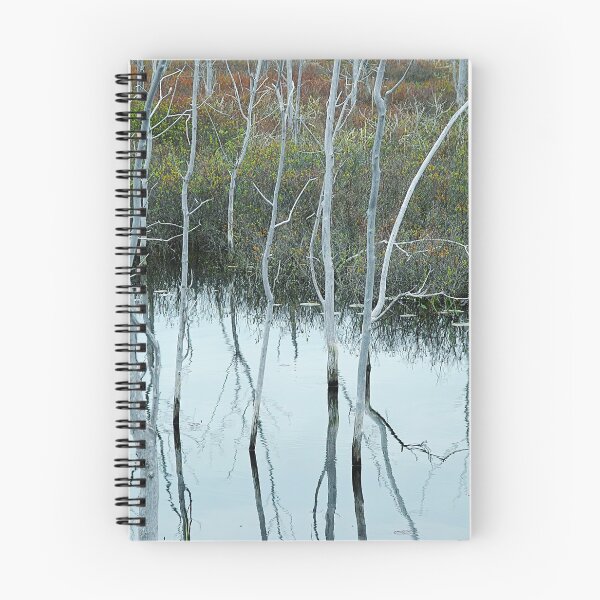 Item preview, Bruce Peninsula Wetland Beauty designed and sold by Robert Watcher.