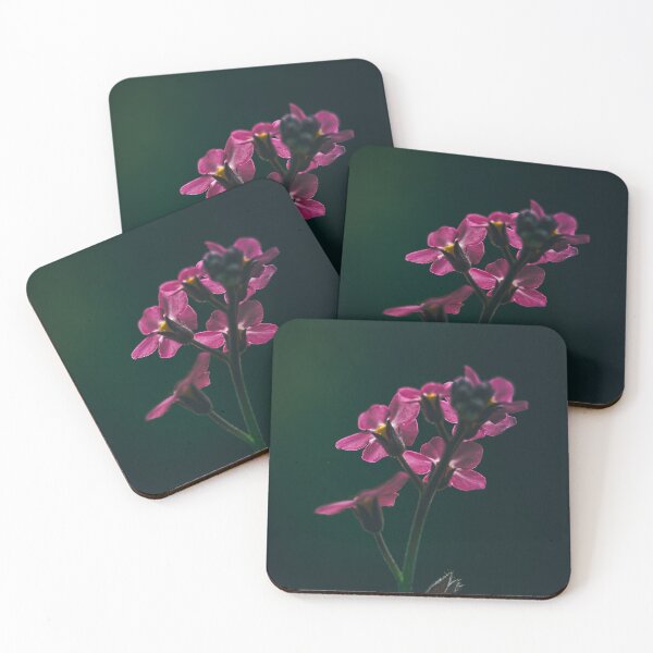 Item preview, Pink forget-me-not flowers with dark background designed and sold by marcrolandscape.