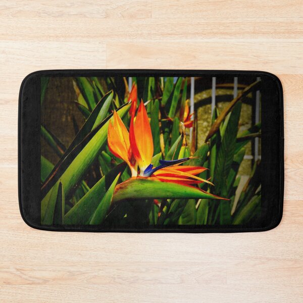 Item preview, Bird of Paradise Vibrancy designed and sold by Patti Melfi.
