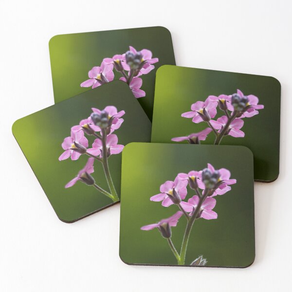 Item preview, Pink forget-me-not flower in sunlight designed and sold by marcrolandscape.