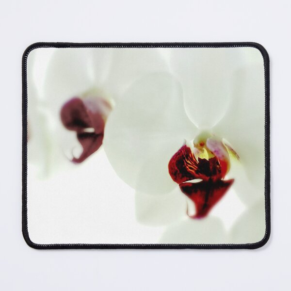 Item preview, Annes White Soft Touch Orchids designed and sold by Robert Watcher.