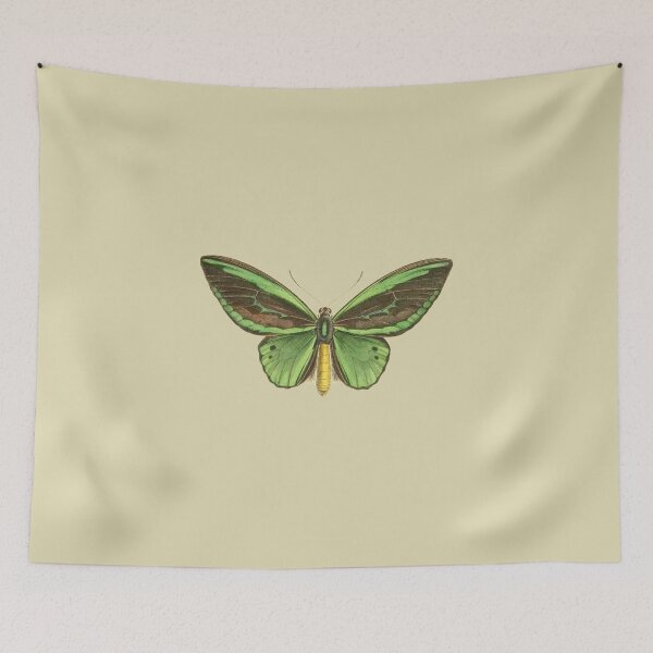 Item preview, Grunge Butterfly designed and sold by felipe0406.