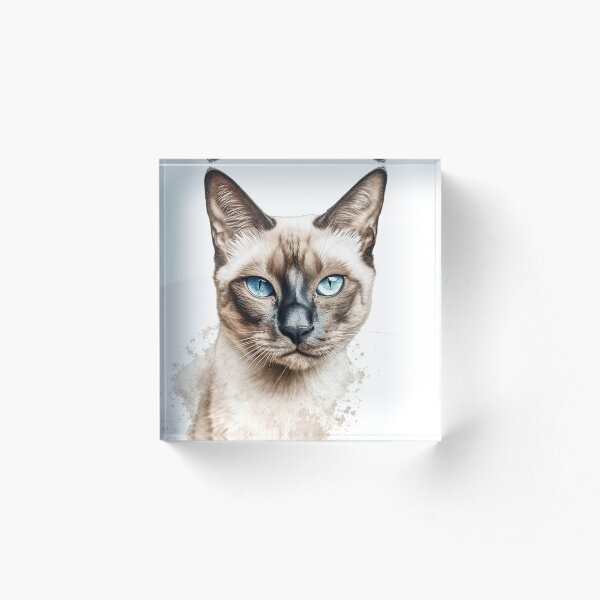 Item preview, Tonkinese Canvas Prints - Realistic Cat Breed Art for Your Cozy Living Room Decor designed and sold by DooodleGod.