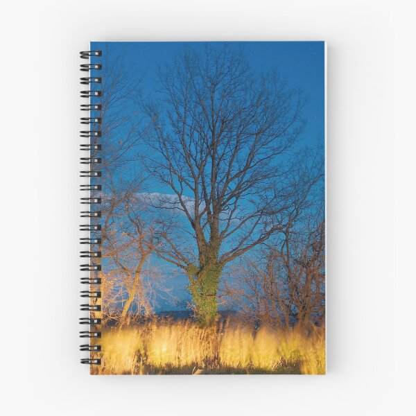 Item preview, 2014 Albero illuminato dall'auto designed and sold by robertoferrero.