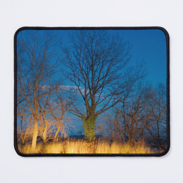 Item preview, 2014 Albero illuminato dall'auto designed and sold by robertoferrero.