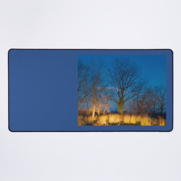 Item preview, 2014 Albero illuminato dall'auto designed and sold by robertoferrero.