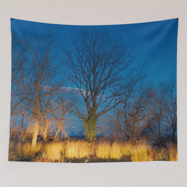Item preview, 2014 Albero illuminato dall'auto designed and sold by robertoferrero.