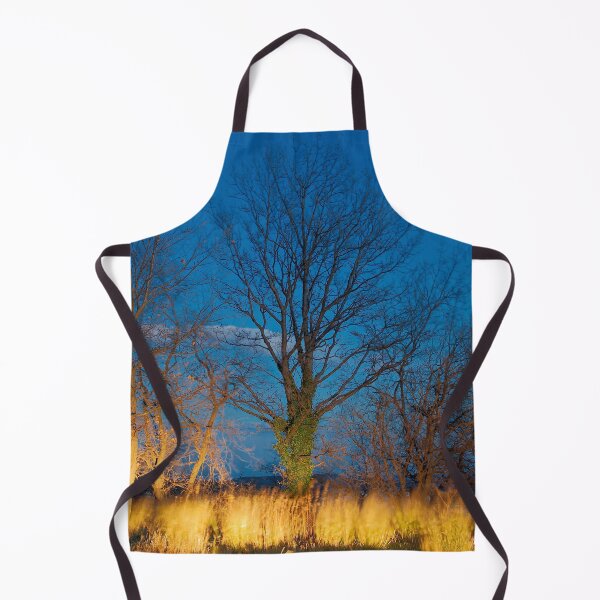 Item preview, 2014 Albero illuminato dall'auto designed and sold by robertoferrero.