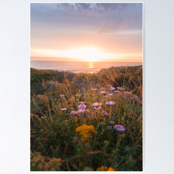 Item preview, Sunset at Big Sur designed and sold by FabioPhoto.