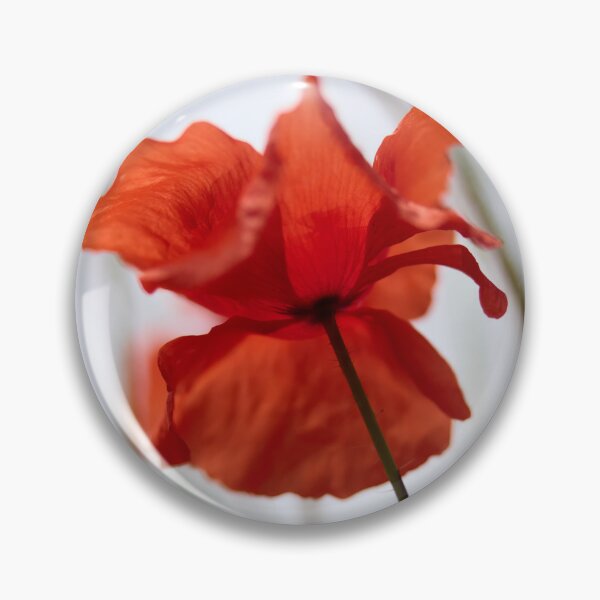 Item preview, The Shaky Poppy. Theologos. Thassos 2023 73 designed and sold by Jouko Lehto Photography.